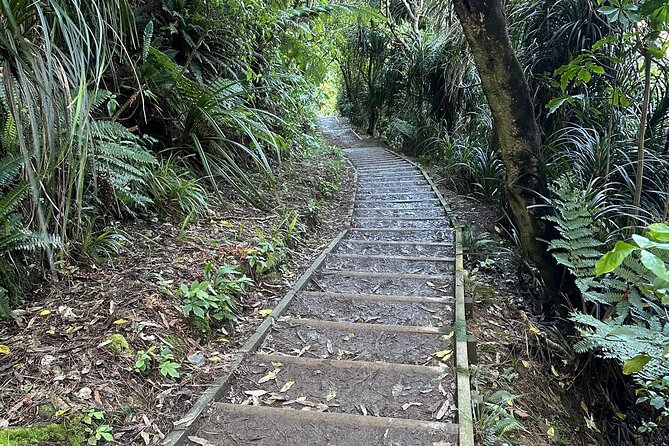 Wellington: Wild Skyline Guided Hiking Tour, Transfers + Lunch - Is 11.6 kilometers right for you?