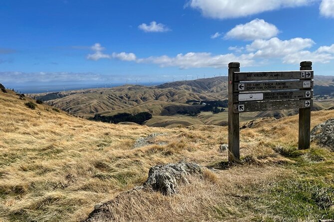 Wellington: Wild Skyline Guided Hiking Tour, Transfers + Lunch - Starting on Makara Road and heading across Wellington’s high country