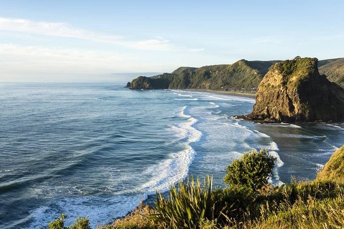 West Coast Discovery - Piha Beach or Muriwai Beach from Auckland - Key Points Before You Book