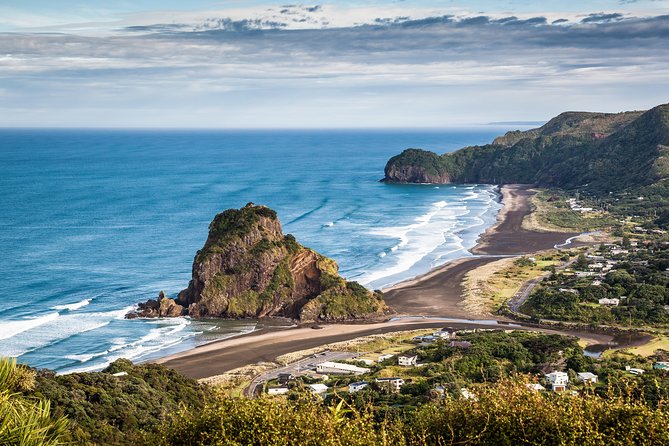 West Coast Discovery - Piha Beach or Muriwai Beach from Auckland - Rainforest, Flora, Fauna, and Māori Context