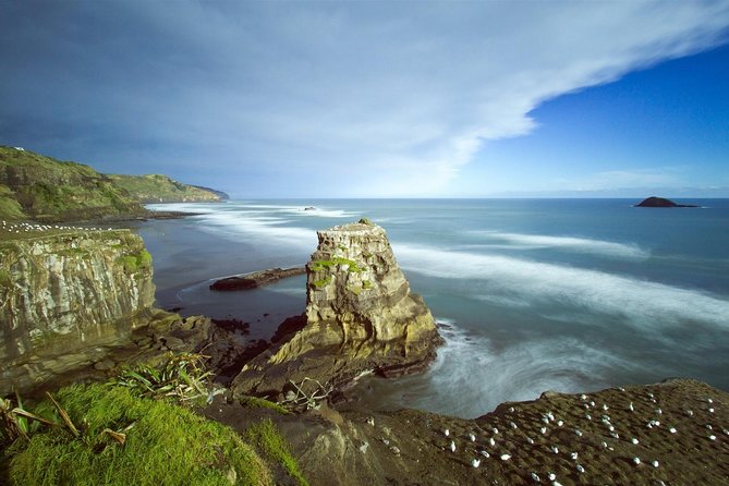 West Coast Discovery - Piha Beach or Muriwai Beach from Auckland - Timing, Weather, and Practical Details