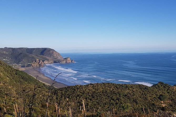 West Coast Discovery - Piha Beach or Muriwai Beach from Auckland - Arataki Centre: The Best Big-Picture View