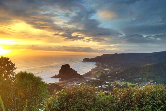West Coast Discovery Piha Beach Private Tour - What the private vehicle changes