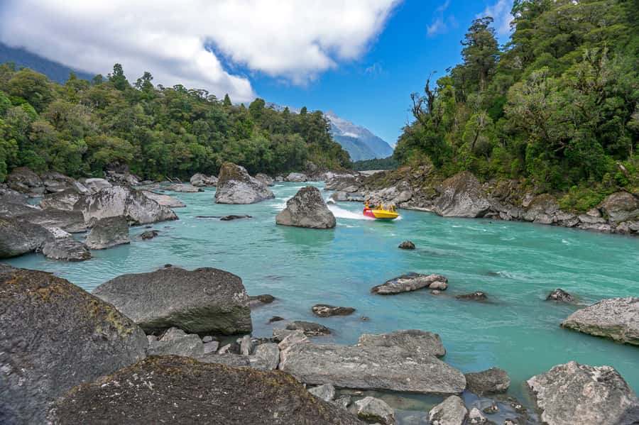 West Coast: Eco River Safari in UNESCO World Heritage Area - The optional walk among ancient forest