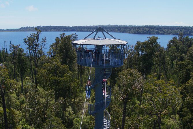 West Coast Tower Zipline & Treetop Walk Combo - Quick points before you book