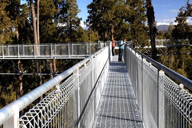 West Coast Tower Zipline & Treetop Walk Combo - Starting at the West Coast Tree Top Visitor Centre