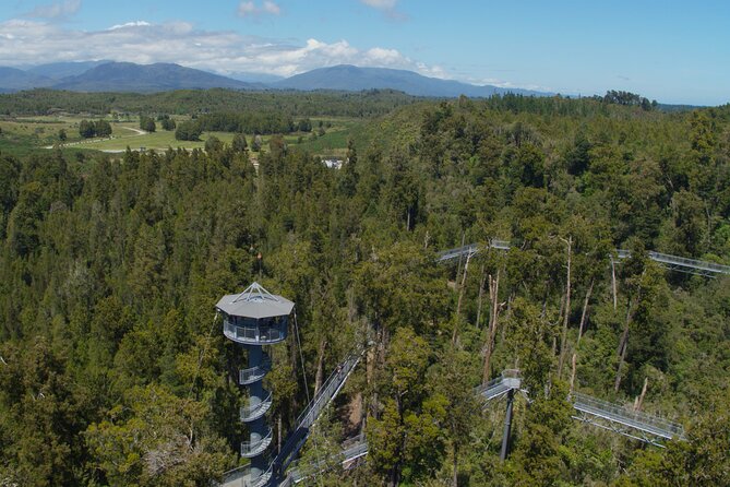 West Coast Tower Zipline & Treetop Walk Combo - The tandem zipline at 45 metres