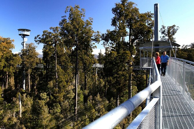West Coast Tower Zipline & Treetop Walk Combo - Why the private format matters