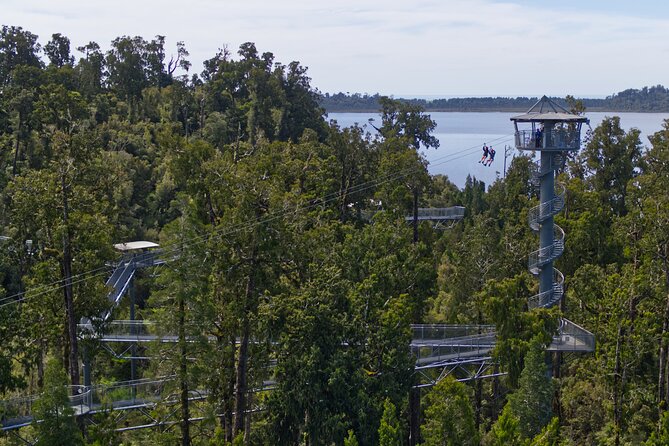 West Coast Tower Zipline & Treetop Walk Combo - Safety, pace, and comfort