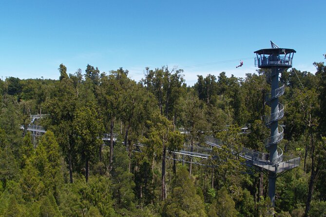 West Coast Tower Zipline & Treetop Walk Combo - Is $74.47 fair value?