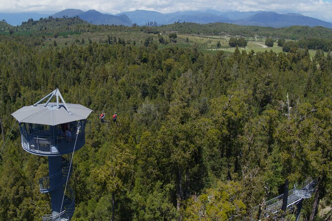 West Coast Tower Zipline & Treetop Walk Combo - Who will enjoy this most?