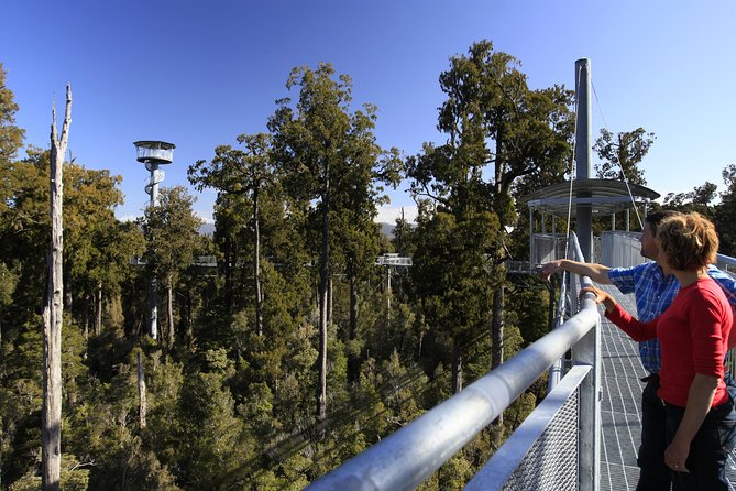 West Coast Treetop Walk - Walking 450 metres through rimu and kamahi
