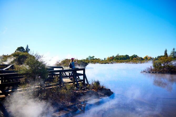 Whaka Geothermal Trails Self-Guided Tour - A gentle walk through native forest