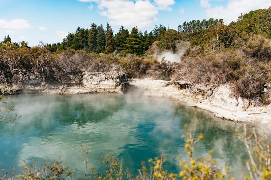 Whakarewarewa: Self-Guided Geothermal Trails - Key points at a glance
