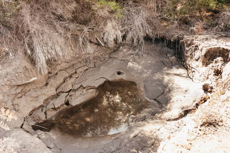 Whakarewarewa: Self-Guided Geothermal Trails - What one hour really means