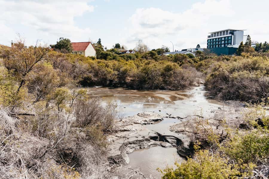 Whakarewarewa: Self-Guided Geothermal Trails - The self-guided format: a strength and a limit