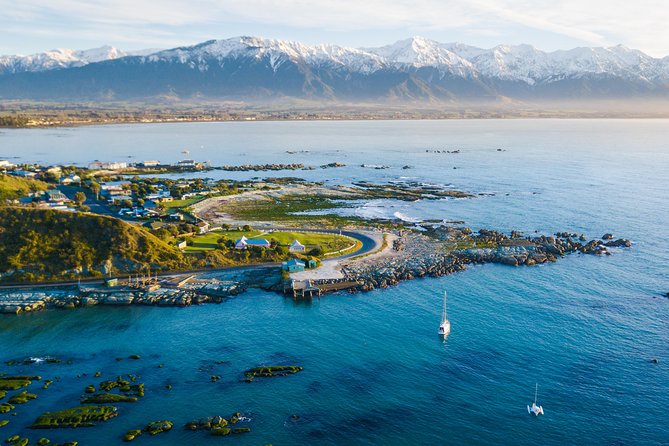 Whale Watching in Kaikoura by Boat - Dolphins, seals, albatross, and surprise sightings