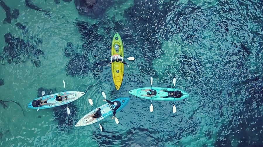 Whangamata: Donut Island Guided Kayaking Experience - The four details that shape this kayak trip