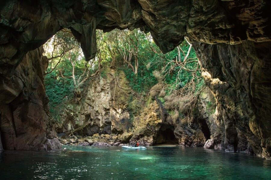 Whangamata: Donut Island Guided Kayaking Experience - Volcanic rock, native bush, and sanctuary rules