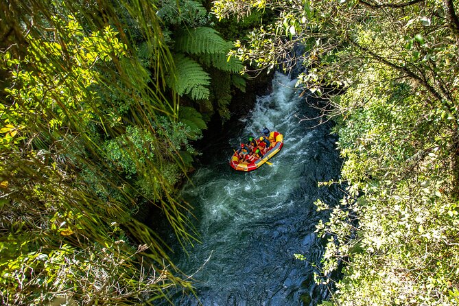 White Water Rafting - Kaituna Cascades, The Originals - Is $83.78 good value?