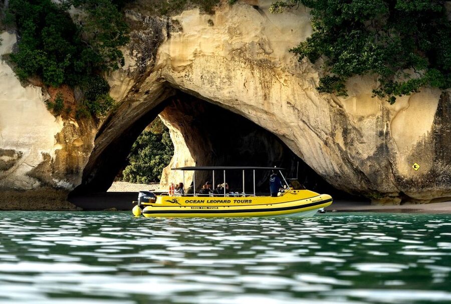 Whitianga: 2-Hour Cathedral Cove and Volcanic Coast Cruise - Who will enjoy this cruise most?