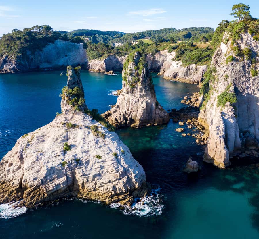 Whitianga: 2-Hour Cathedral Cove and Volcanic Coast Cruise - The volcanic cliffs, pinnacles, and sea caves