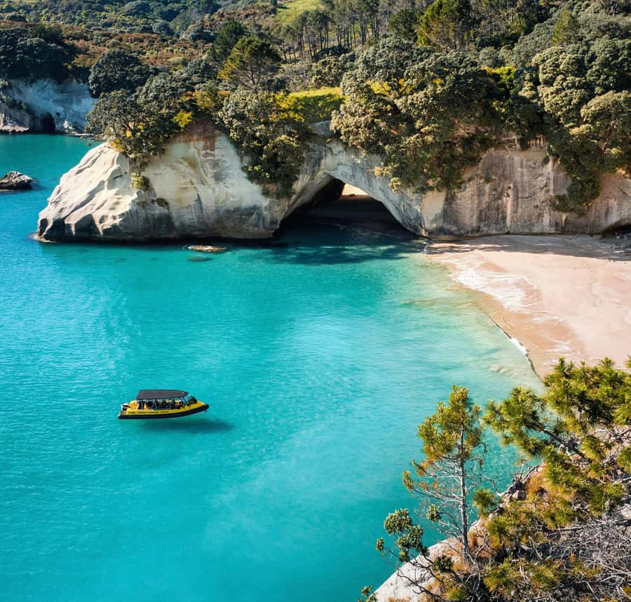 Whitianga: 2-Hour Cathedral Cove and Volcanic Coast Cruise - Why the commentary matters