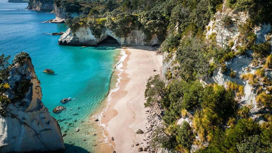 Whitianga: 2-Hour Cathedral Cove and Volcanic Coast Cruise - Wildlife sightings around Mercury Bay