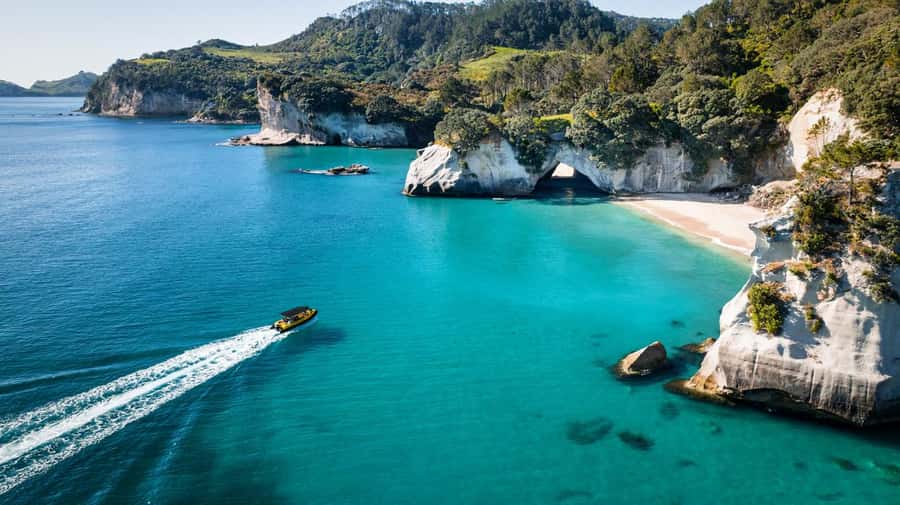Whitianga: 2-Hour Cathedral Cove and Volcanic Coast Cruise - Is $83 good value for two hours?