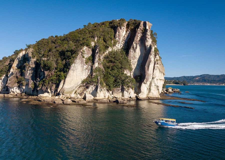 Whitianga: 2-Hour Glass Bottom Boat Cathedral Cove Tour - Key points to know before booking