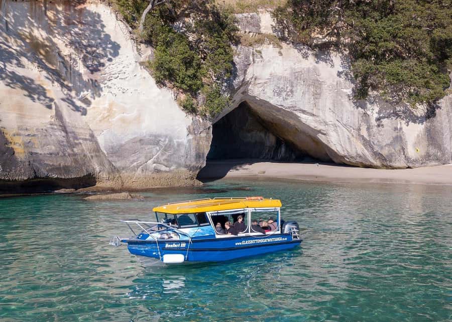 Whitianga: 2-Hour Glass Bottom Boat Cathedral Cove Tour - Seeing Cathedral Cove from the sea
