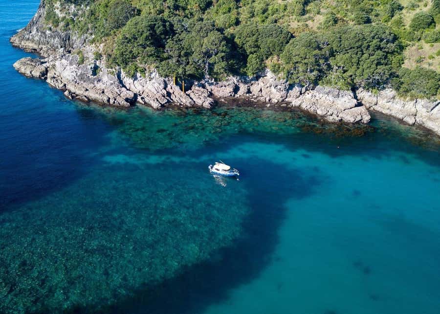 Whitianga: 2-Hour Glass Bottom Boat Cathedral Cove Tour - The guides make the difference