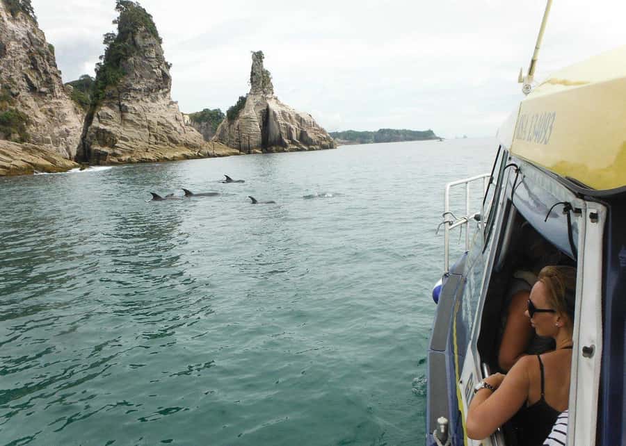 Whitianga: 2-Hour Glass Bottom Boat Cathedral Cove Tour - Who will enjoy this cruise most?