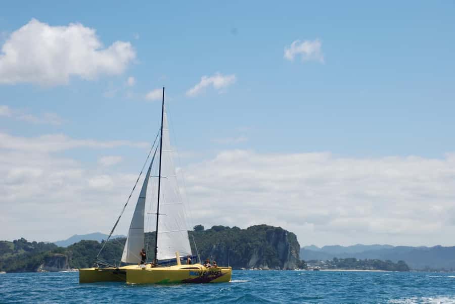 Whitianga: Sailing Trip to Cathedral Cove - Is $86 a Fair Price?