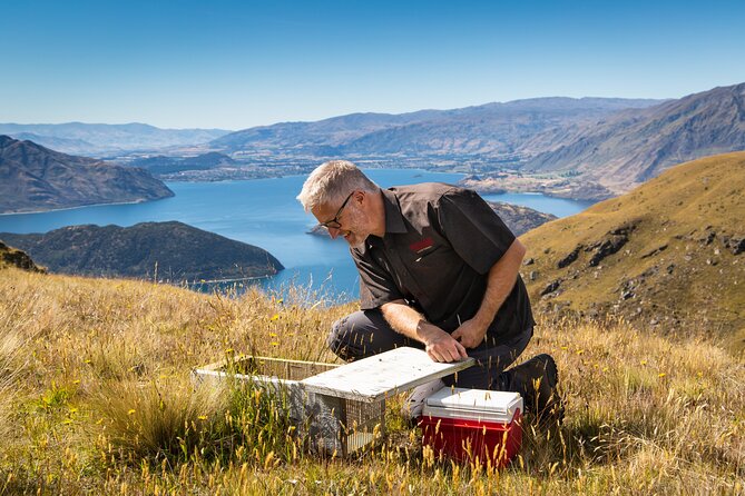 Wild Hills Off Road Safari - Red deer and easy alpine walks