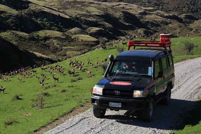 Wild Hills Off Road Safari - What the $204.79 price buys you