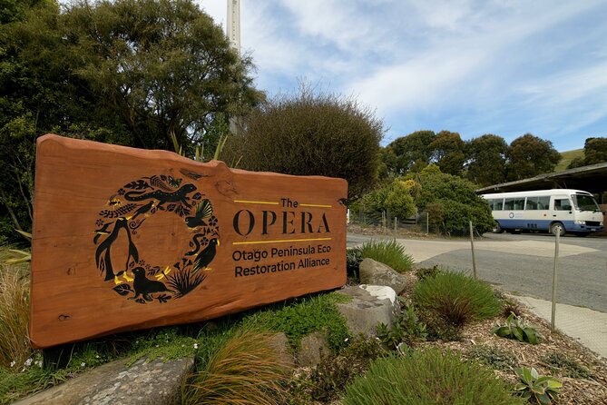 Wildlife and Penguin Tour - Why the Otago Peninsula is the right place for hoiho
