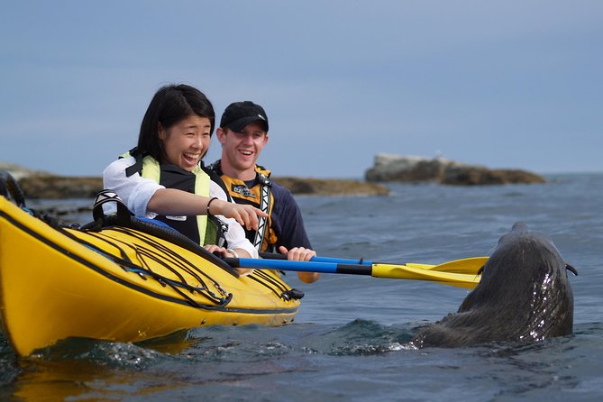 Wildlife Sea Kayaking Tour - Kaikoura - Stop one: the Kaikoura Peninsula Walkway