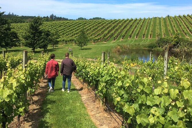 Wine Exposed Nelson Winery Tour - Upper Moutere gives the day a rural setting