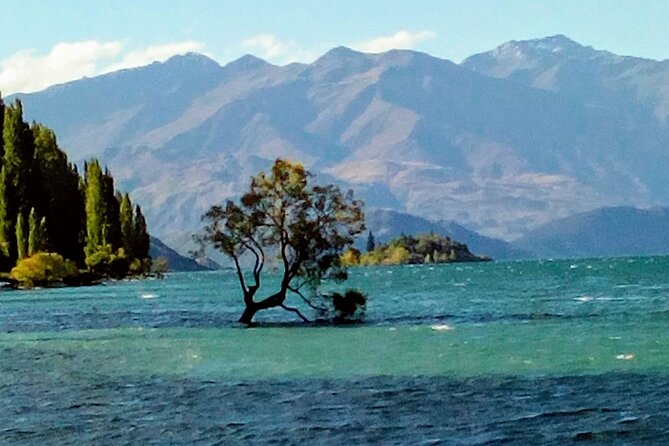 Wine Tasting Adventure Wanaka and Beyond - Cromwell: the fruit-growing heart of the route