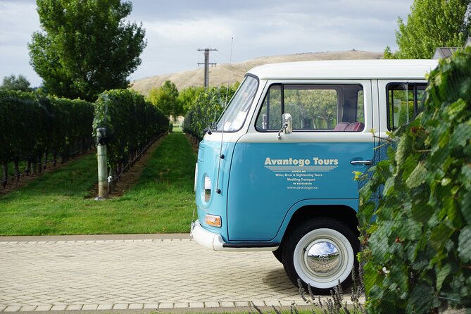 Wine Tour and Tastings in Hawkes Bay - Why the Kombi changes the whole outing