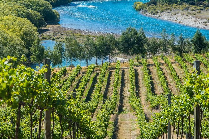 Wine Tour with Wine Tasting from Wanaka - The 2:30 pm barrel-cooked banquet