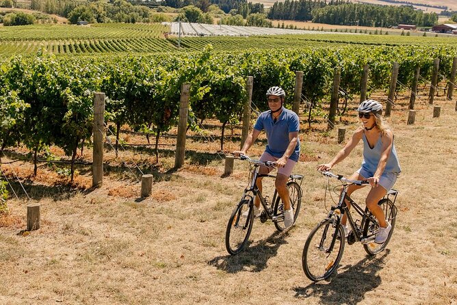 Wine trail and Christchurch City - Luxury, Small Group Tour - Port Hills views over city, plains, and harbour
