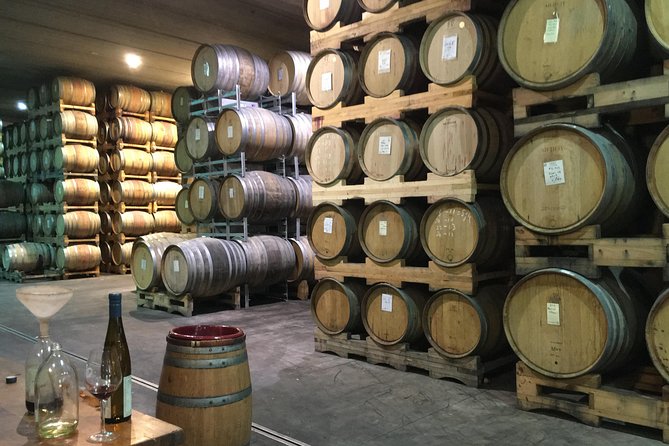 Wine trail and Christchurch City - Luxury, Small Group Tour - A sweet finish at She Chocolate