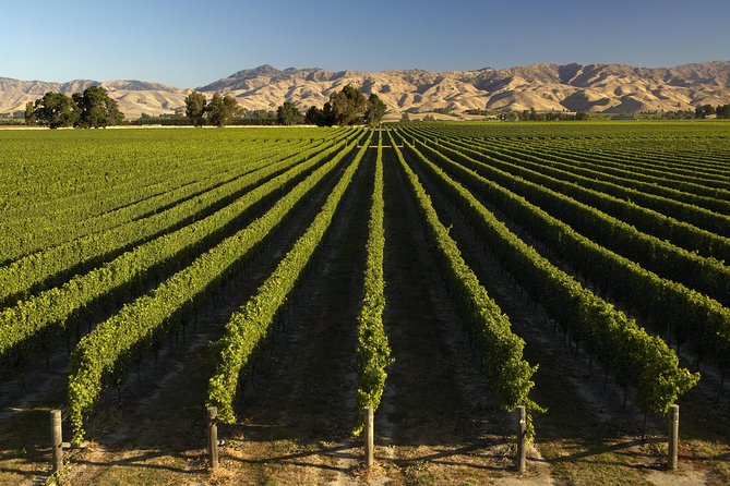 Wine trail and Christchurch City - Luxury, Small Group Tour - What the $387.86 price includes