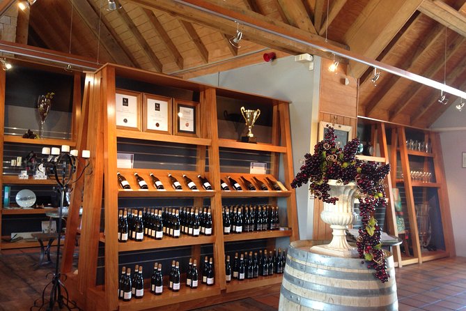 Wine trail and Christchurch City - Luxury, Small Group Tour - Leaving Christchurch for Waipara wine country