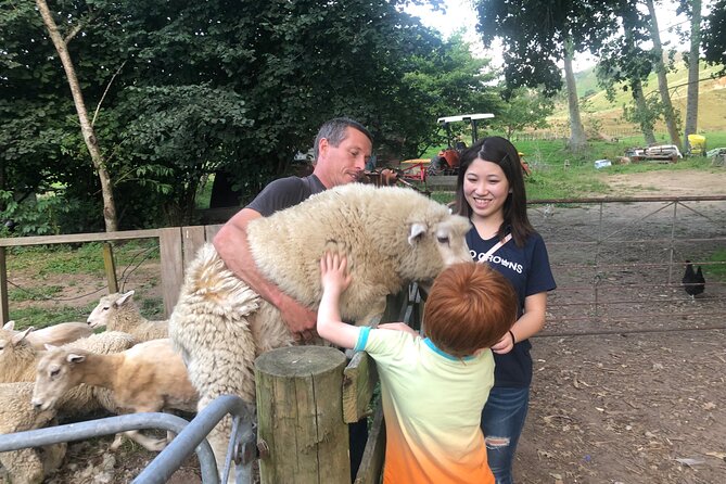 Wool Sheep Farm Experience with Handmade Wool Hat in New Zealand - Key things to know before you go