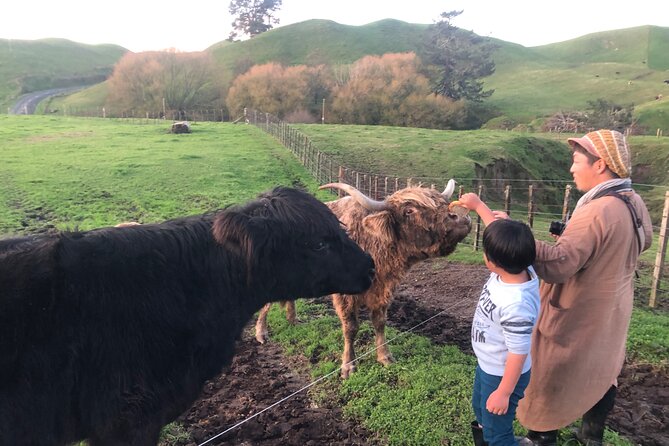 Wool Sheep Farm Experience with Handmade Wool Hat in New Zealand - From fleece to yarn, explained in one short demonstration