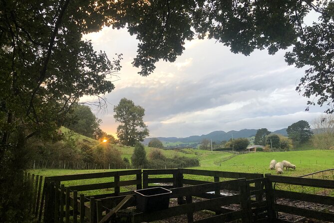 Wool Sheep Farm Experience with Handmade Wool Hat in New Zealand - Who will enjoy this New Zealand farm visit?