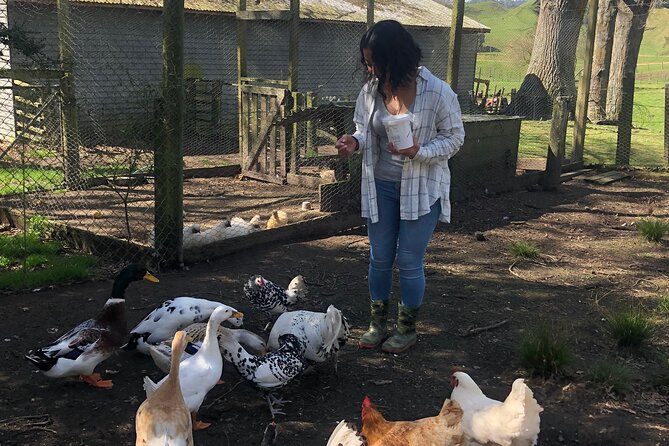 Wool Sheep Farm Experience with Handmade Wool Hat in New Zealand - Angie’s personal approach to farm life